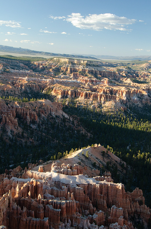 _D7K0933.jpg