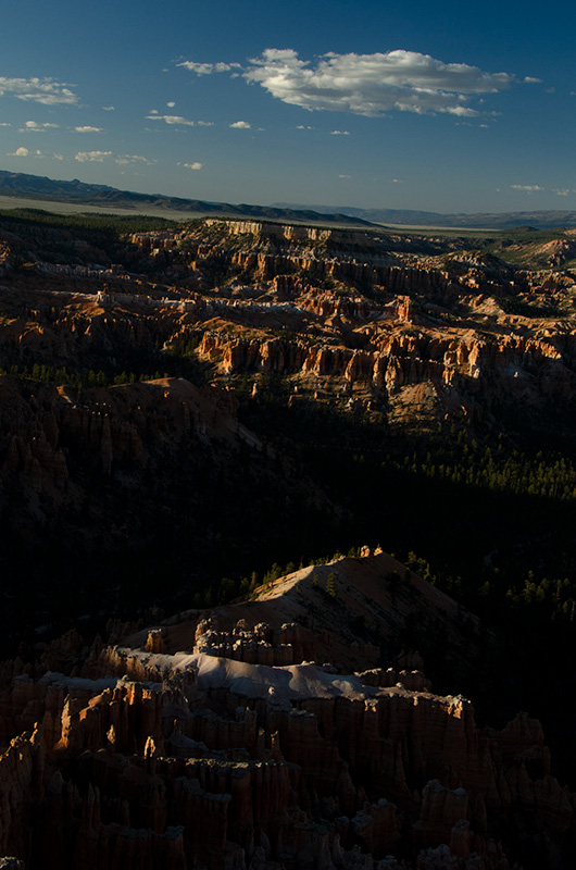 _D7K0937.jpg