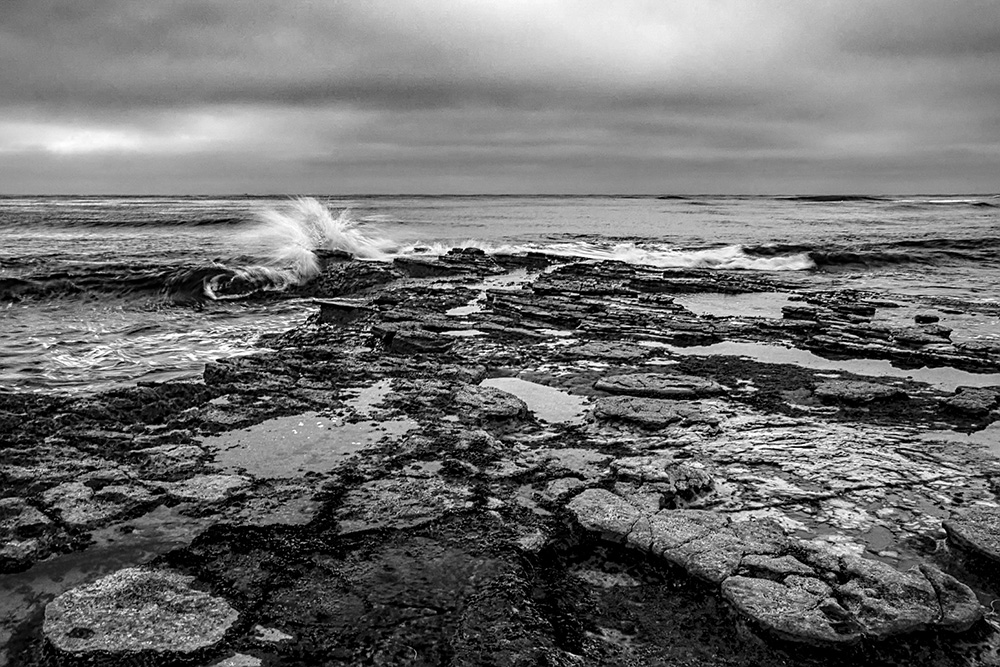 _D7K4467_BW_dw.jpg