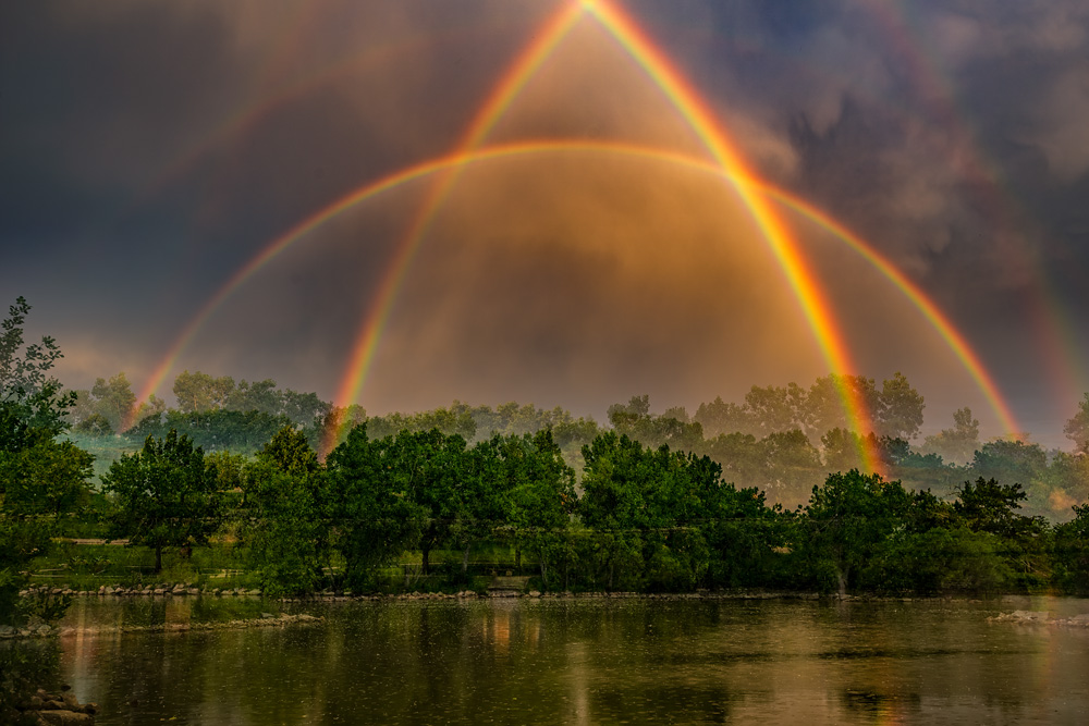 _D810056_dw.jpg