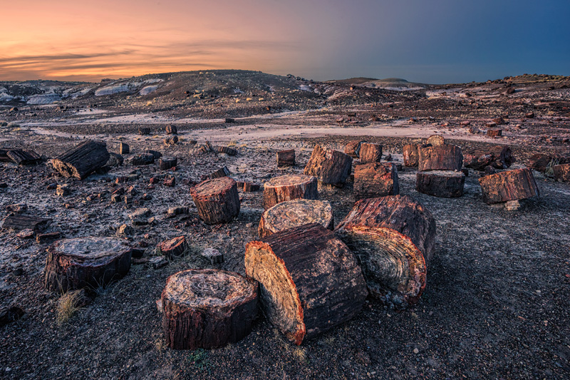 _D810082_dw.jpg