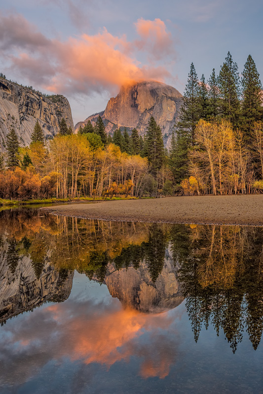 _D810385_dw.jpg