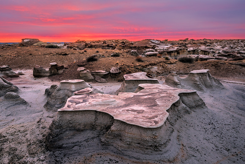 _D811475_dw.jpg