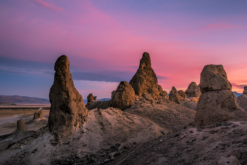 _D812141_dw.jpg