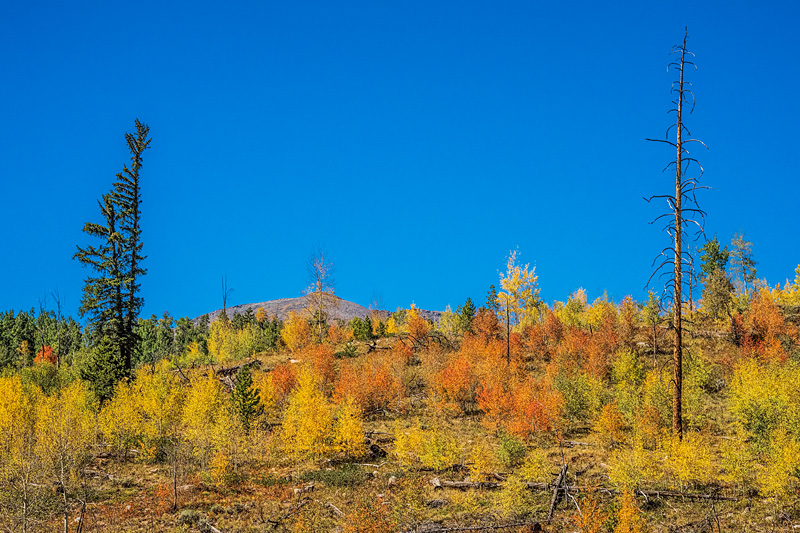 _D812196_dw.jpg