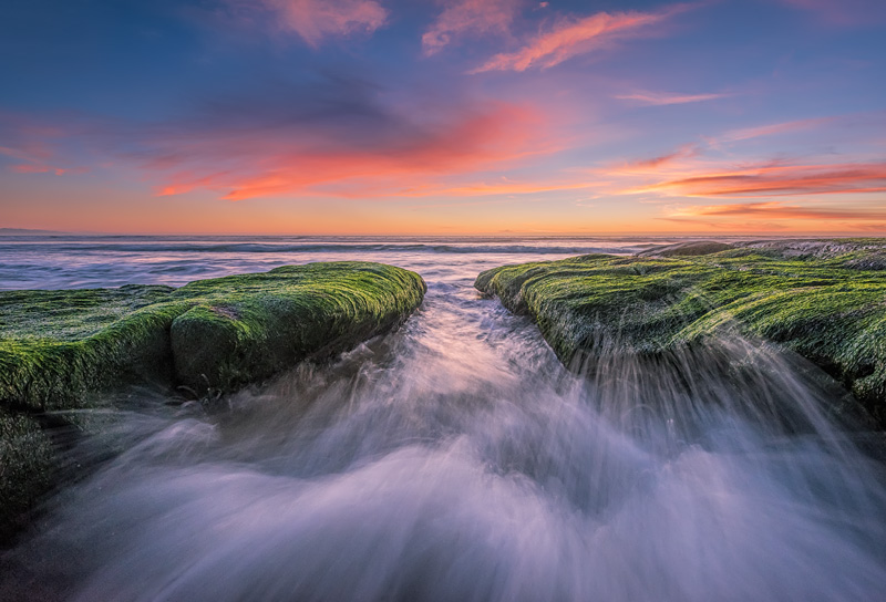 _D812819_dw.jpg