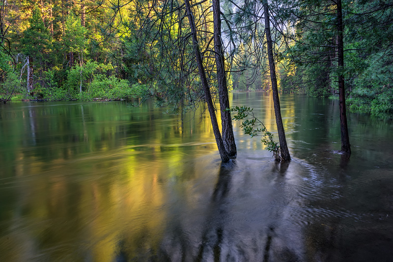 _D812857_dw.jpg