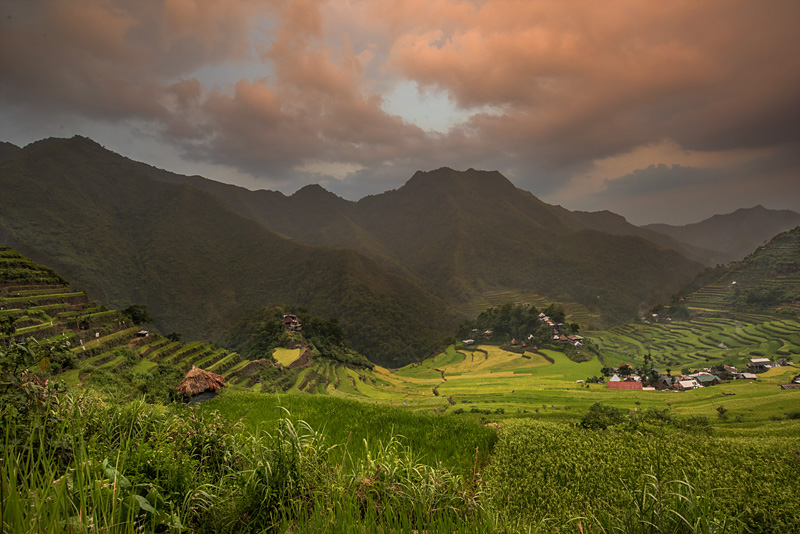 _D812944_dw.jpg