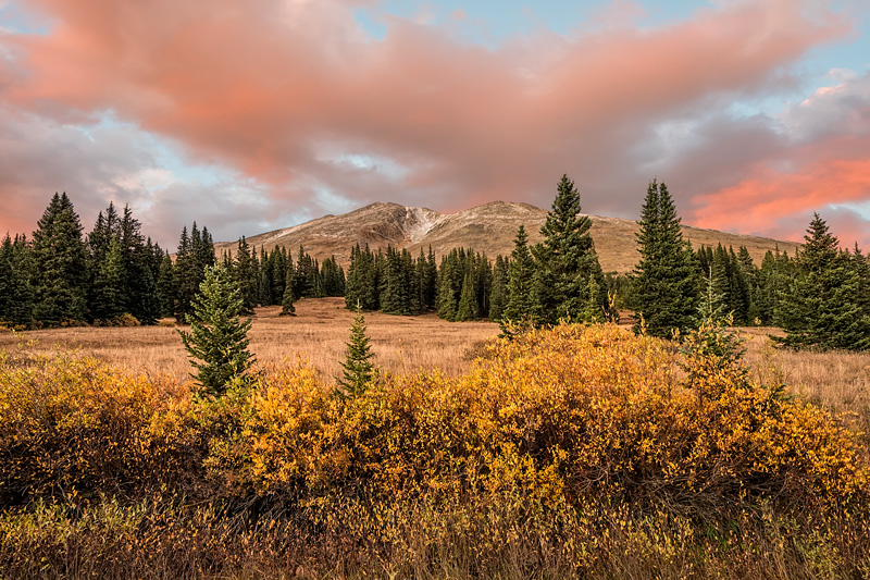 _D813287_d1w.jpg