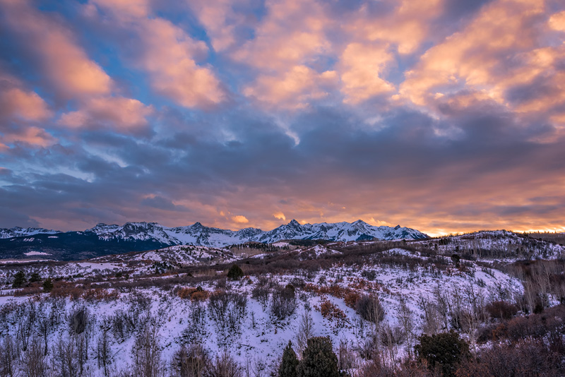 _D814012_dw.jpg