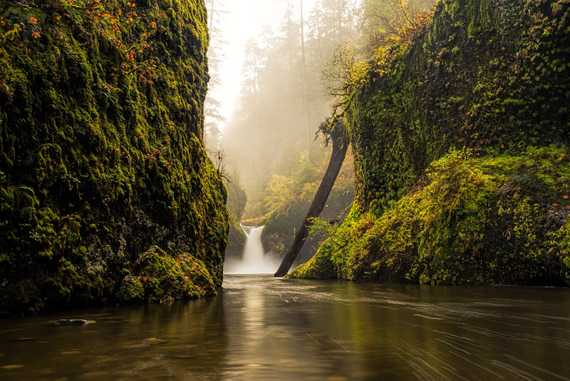 _D814094_dw.jpg