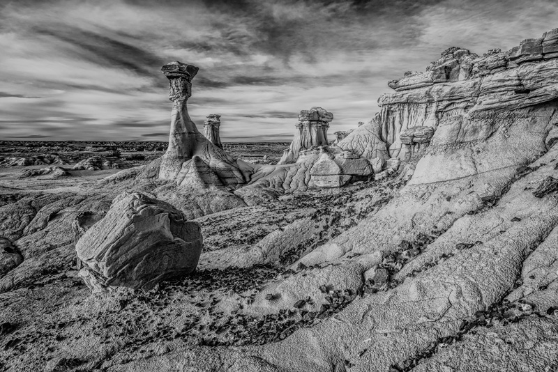 _D814640_BW_dw.jpg