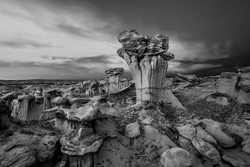 _D814746_BW_dw.jpg
