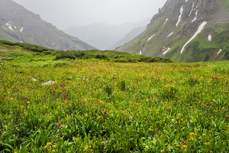 _D814930_dw.jpg