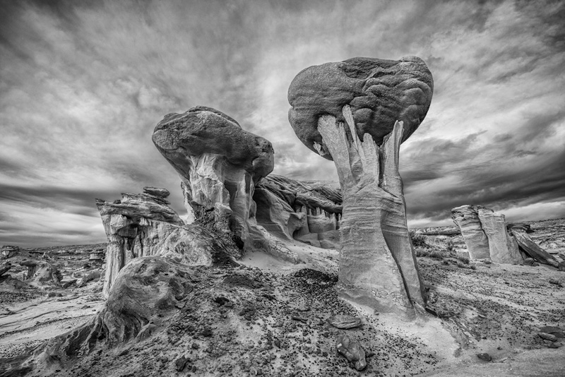 _D815402_BW_dw.jpg