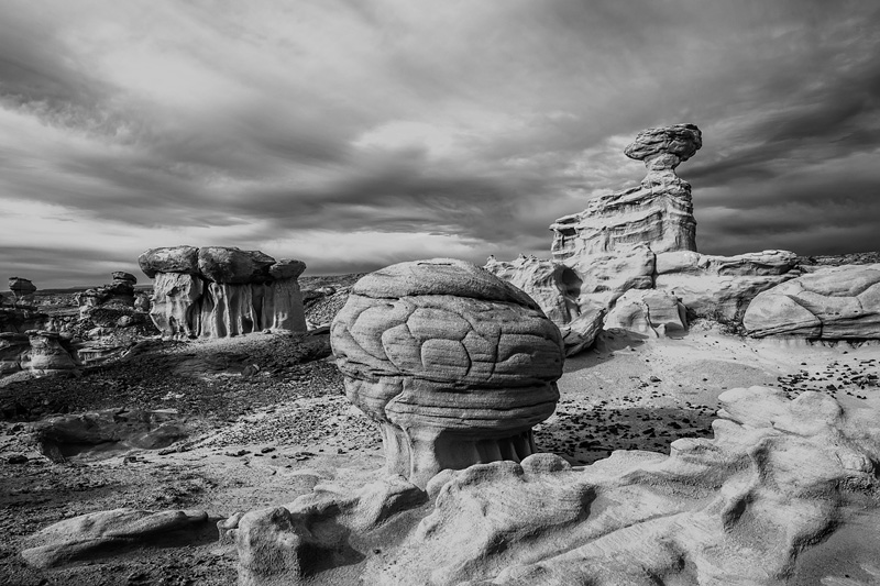 _D815421_BW_d1w.jpg