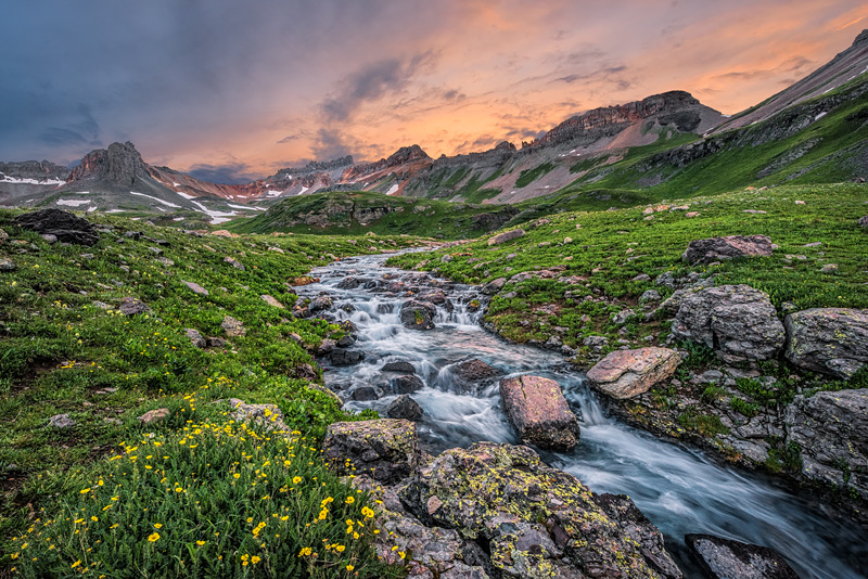 _D815861_dw.jpg