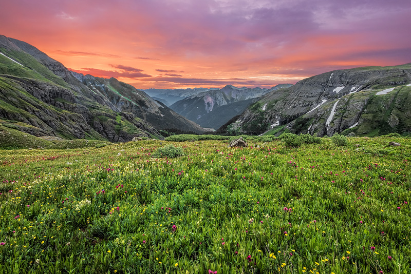 _D815955_dw.jpg