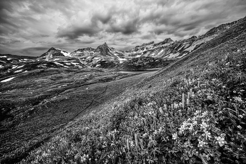 _D816072_BW_d1w.jpg