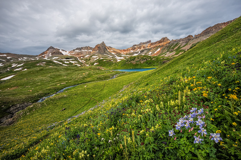 _D816072_dw.jpg