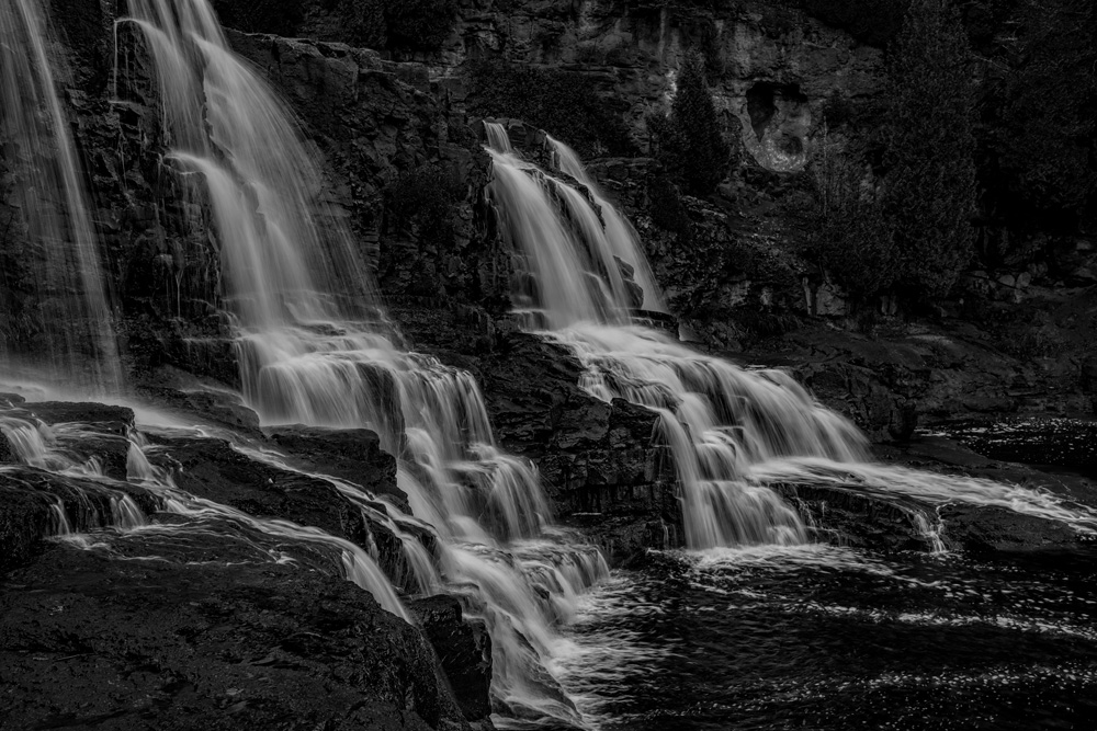 _D816171_BW_dw.jpg