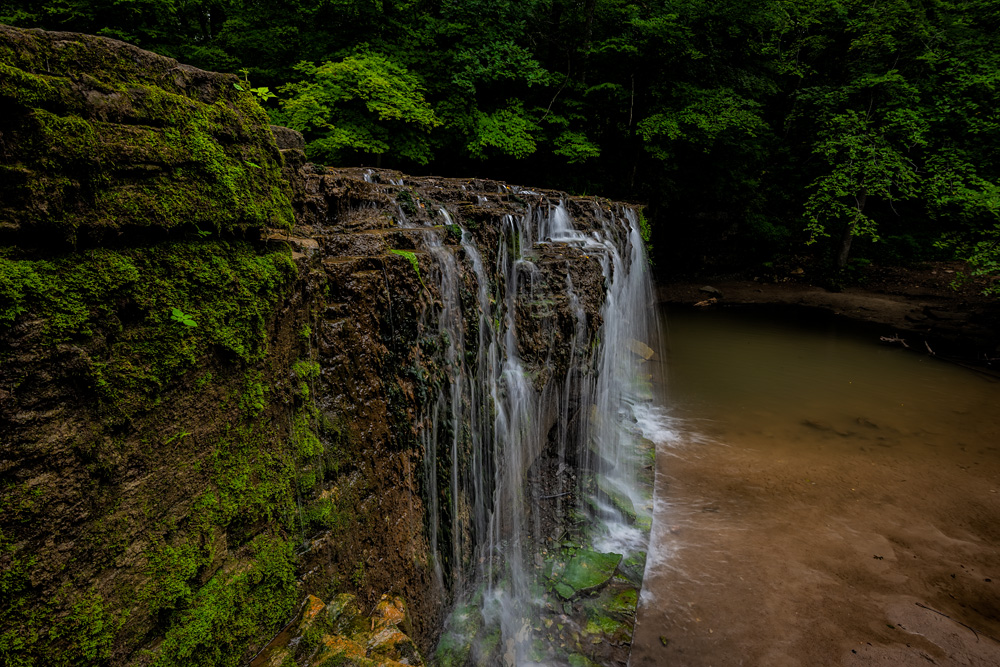 _D816621_dw.jpg