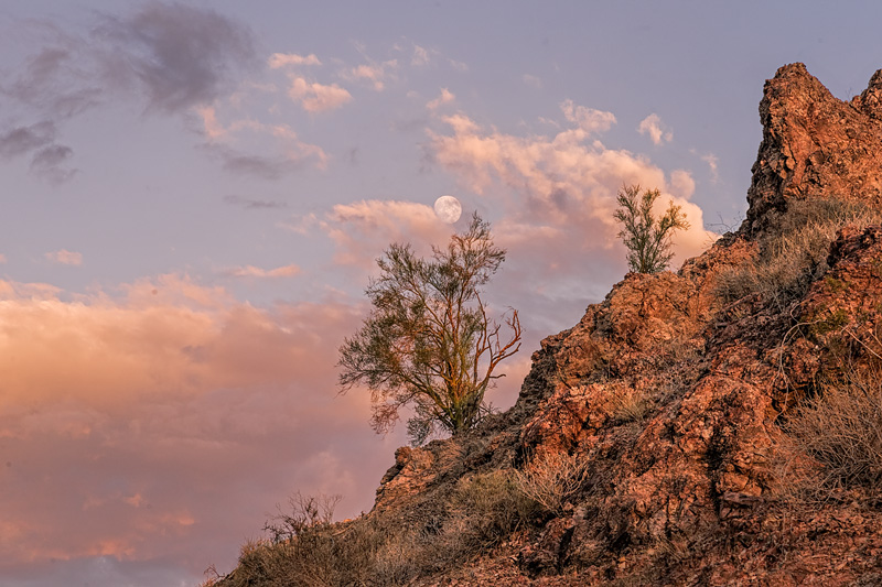 _D817309_dw.jpg