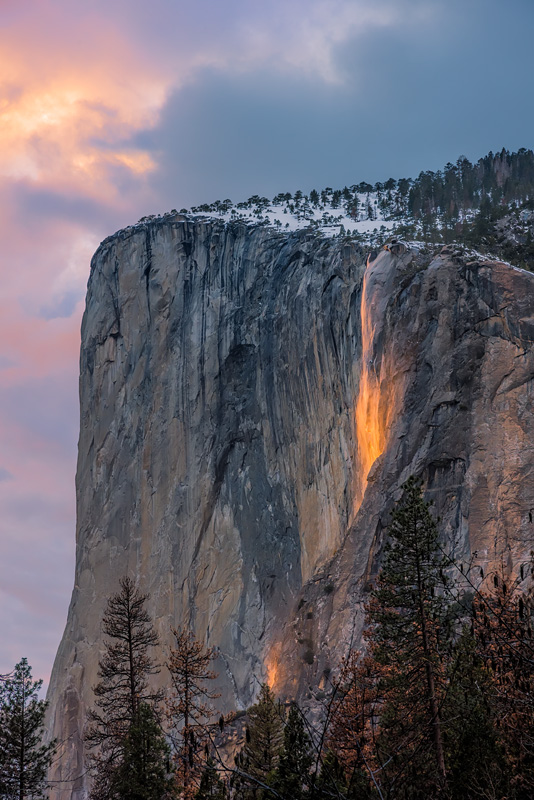_D817476_dw.jpg