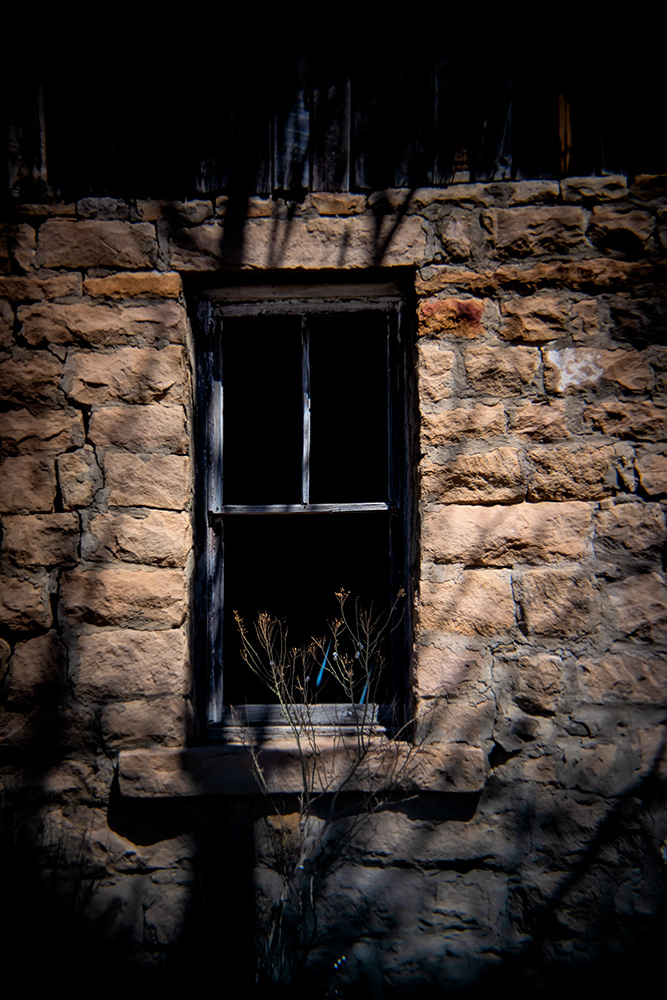 _D817551_dw.jpg