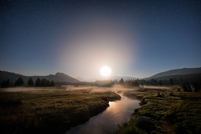 _D818237_dw.jpg