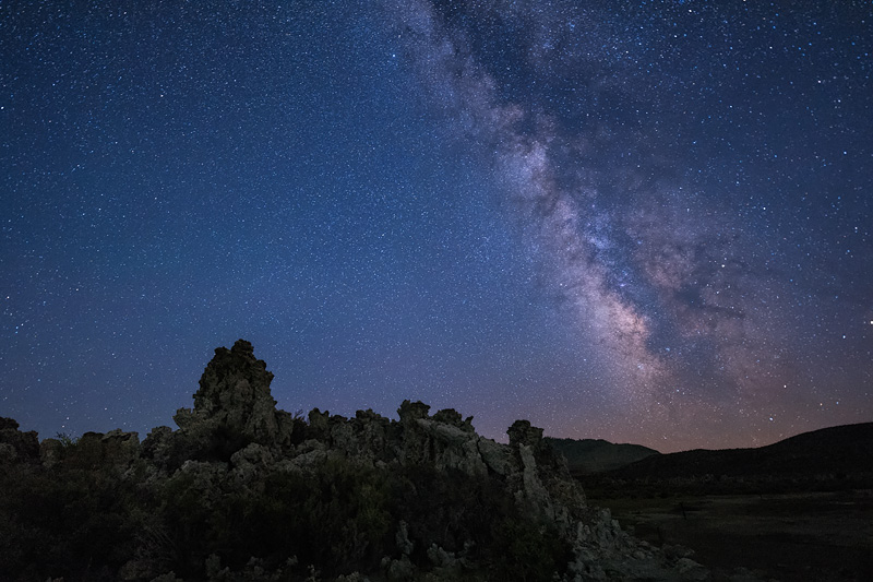 _D818519_dw.jpg