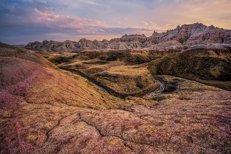 _D819320_dw.jpg