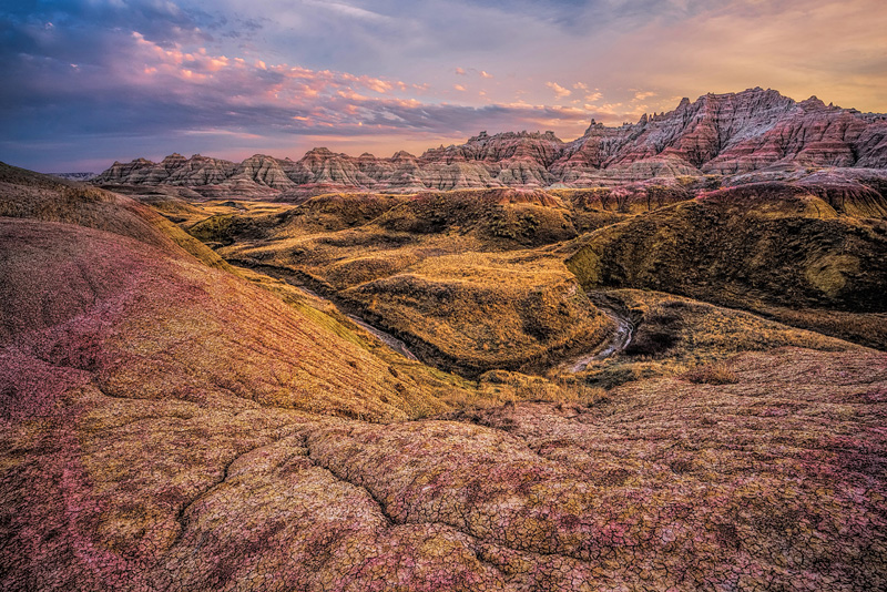 _D819320_dw1a.jpg