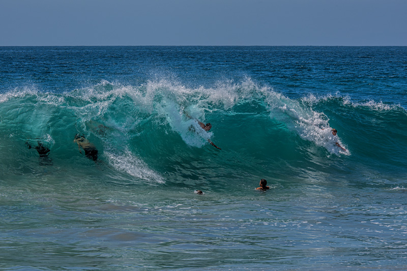 _D819557_dw.jpg