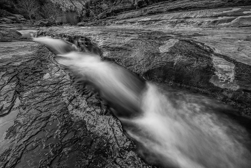 _D819952_BW_dw.jpg