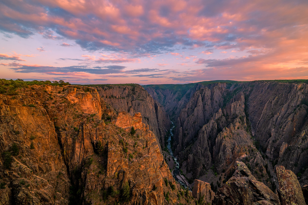 _D850516_dw.jpg