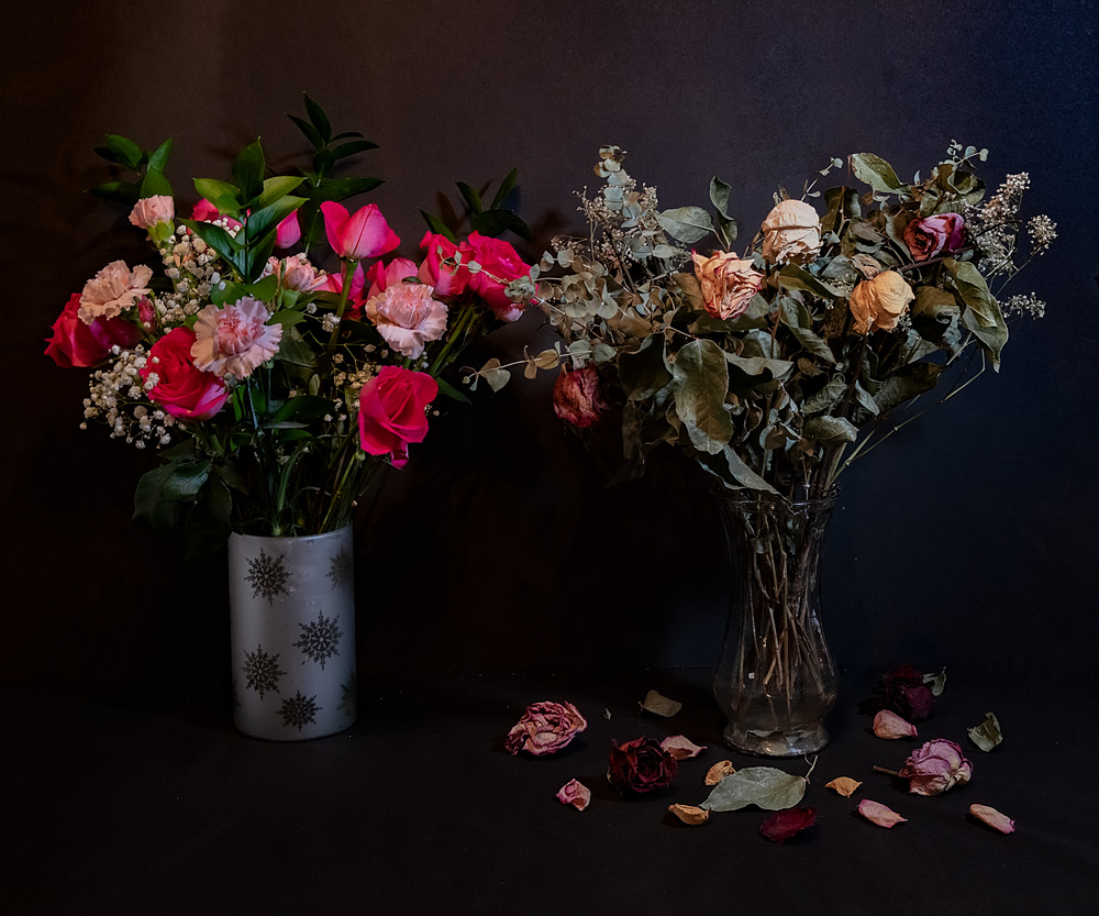 _D850610_dw.jpg