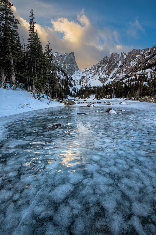 _D850703_dw.jpg