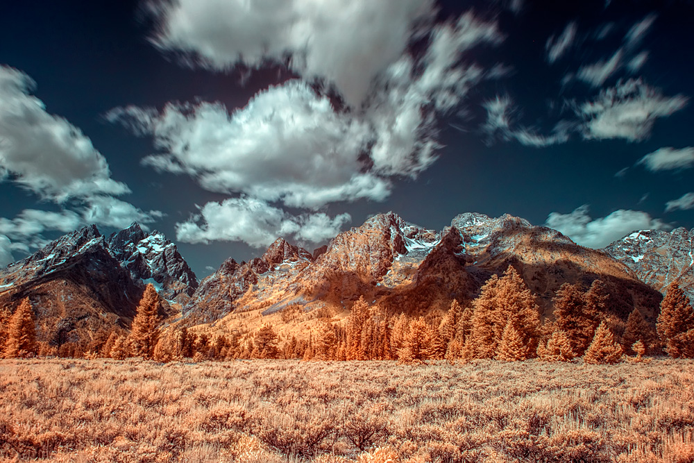_D851186_dw.jpg