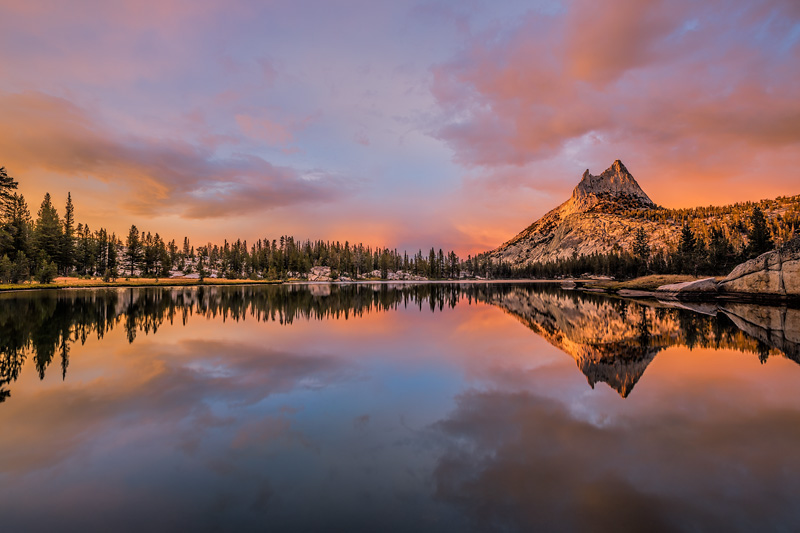 _D851745_dw.jpg