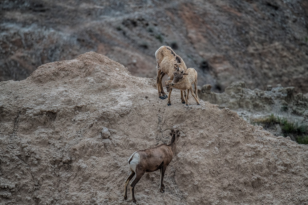 _D851837_dw.jpg