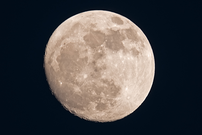 _D852102_d2w.jpg