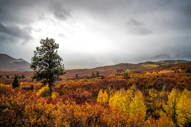 _D852167_dw.jpg