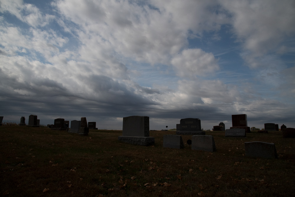 _D852738_Orig_dw.jpg
