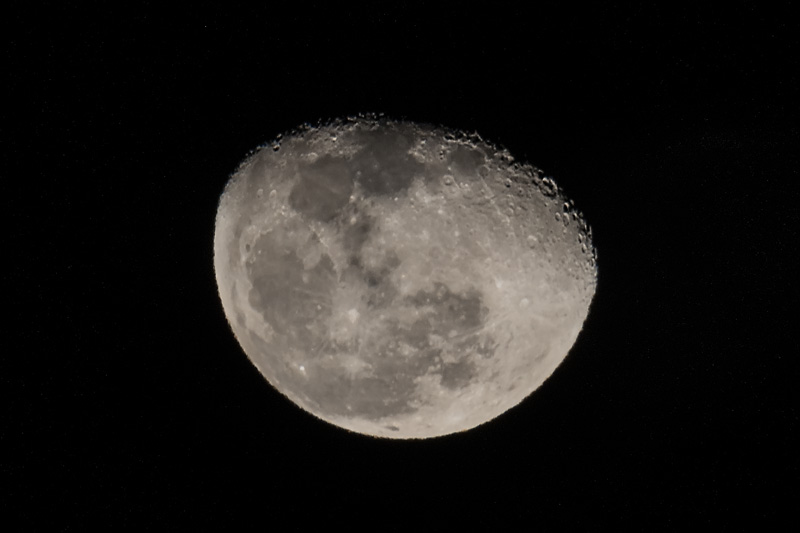 _D852807_dw.jpg