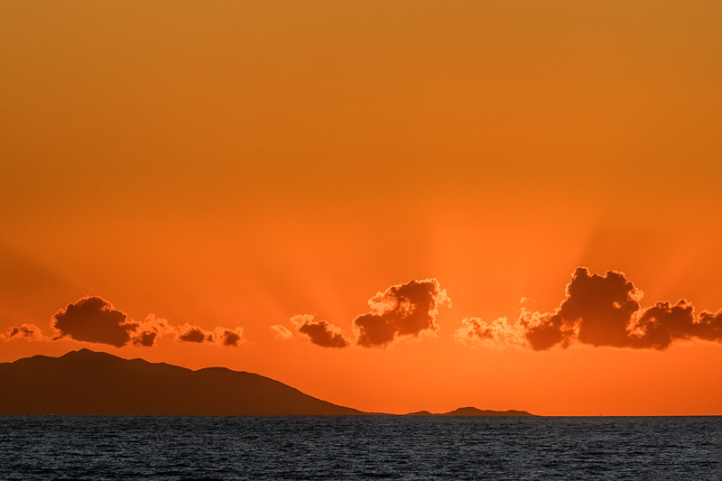 _D853514_dw.jpg