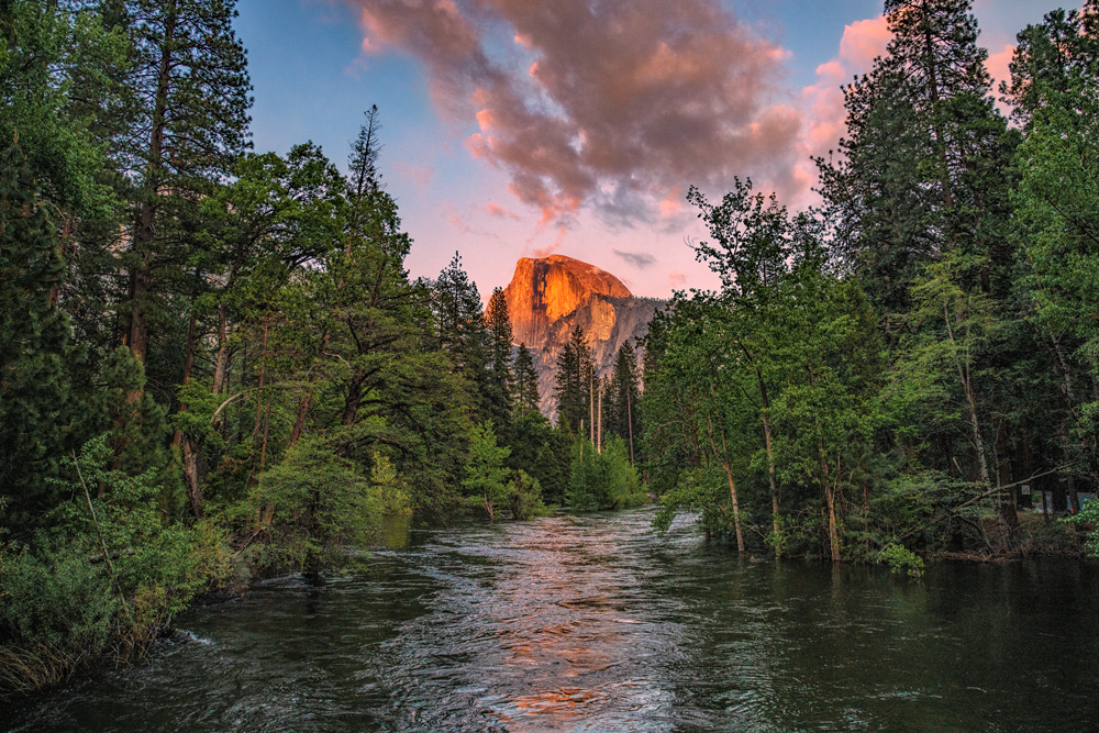_D853615_dw.jpg