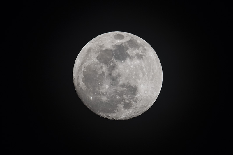 _D853708_dw.jpg