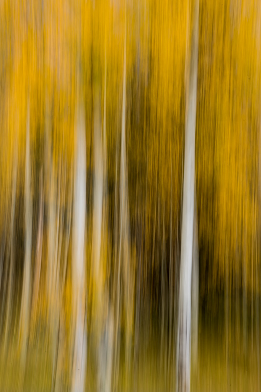 _D853819_dw.jpg