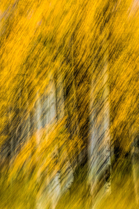 _D853821_dw.jpg